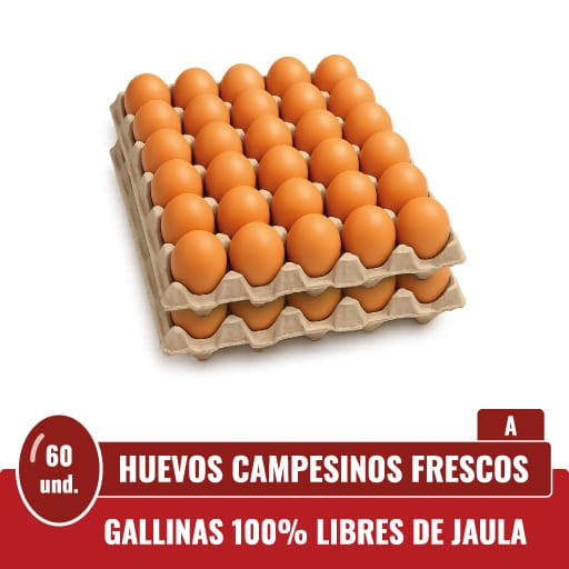 Presentación de 60 huevos frescos tipo A